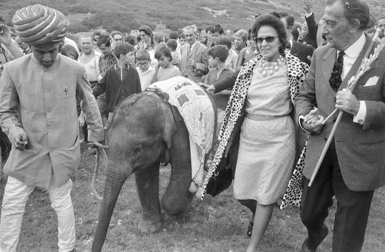 Dalí y Gala recibiendo un elefante