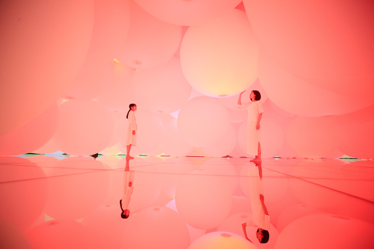 Digital Art Installation Art Body Immersive Exhibition Tokyo by teamLab