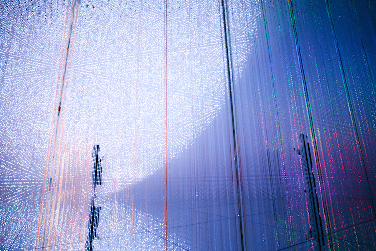 Digital Art Installation Art Body Immersive Exhibition Tokyo by teamLab