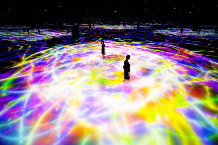 Digital Art Installation Art Body Immersive Exhibition Tokyo by teamLab