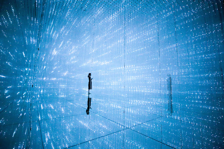 Digital Art Installation Art Body Immersive Exhibition Tokyo by teamLab