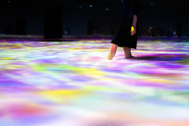 Digital Art Installation Art Body Immersive Exhibition Tokyo by teamLab