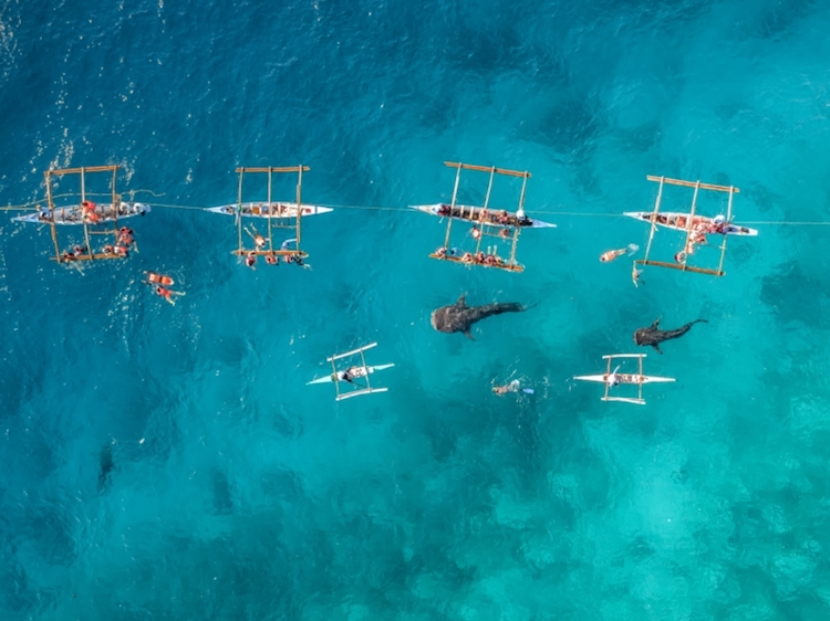 Aerial Photography Awards