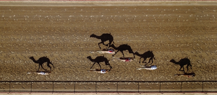 2018 Drone Awards fotografía aérea con drones