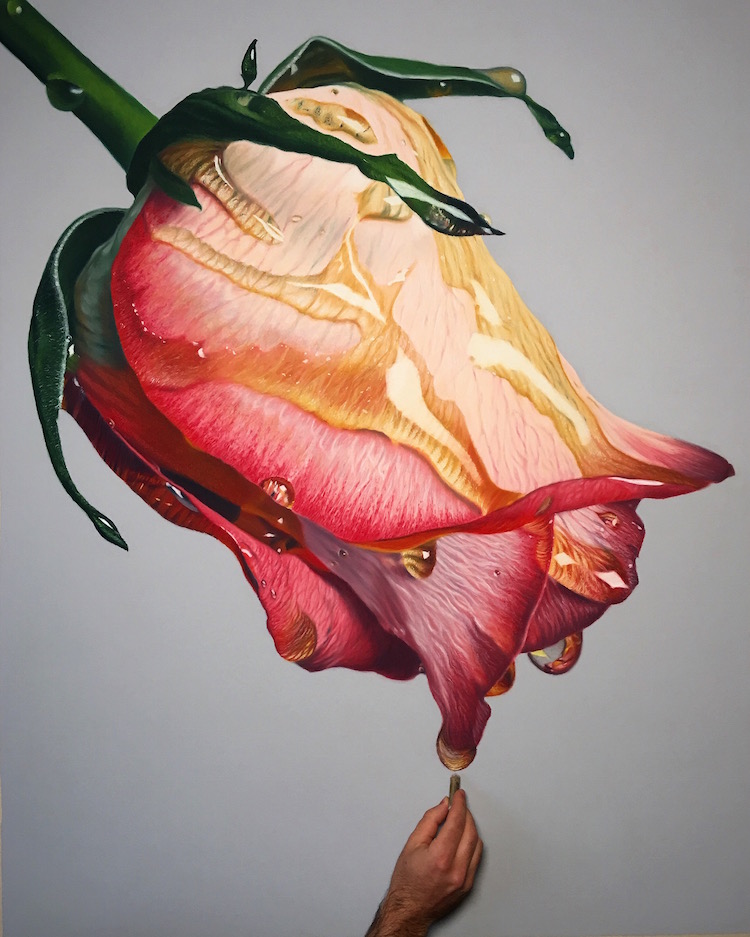 Hyperreal Flower Oil Pastel Drawings Art by Brian Owens