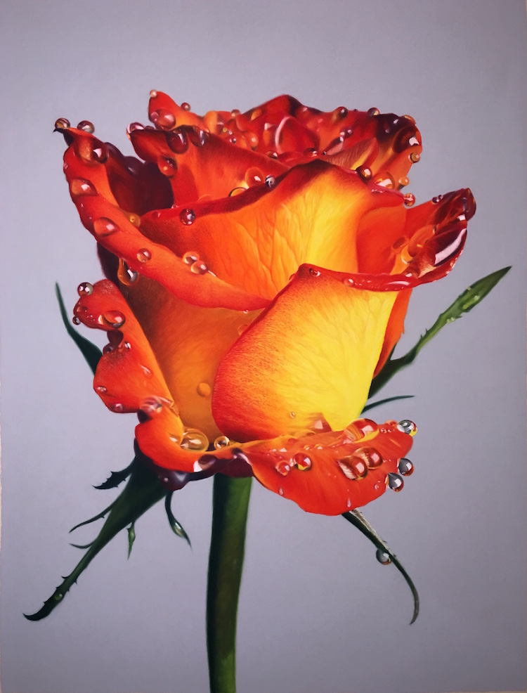 Hyperreal Oil Pastel Drawings of Flowers Drenched in Honey