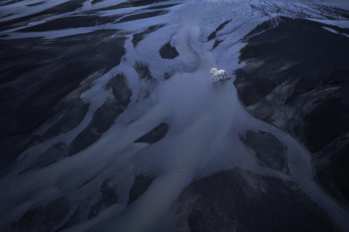 Fotos de Caballos Islandeses por Drew Doggett