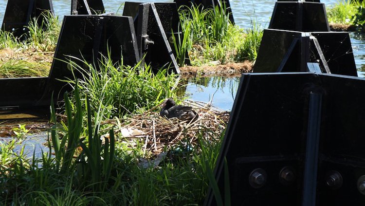 Recycled Park - Rotterdam