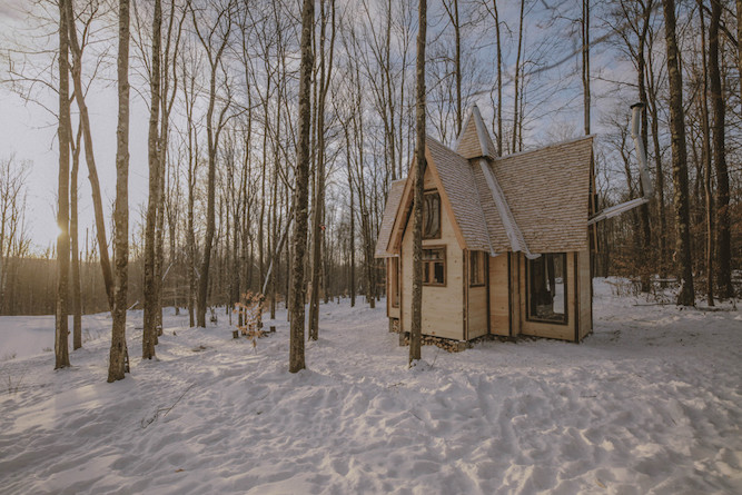 Photographer Builds Adorable Tiny Log Cabins in His Backyard to Keep Mouse  Families Safe From Cats