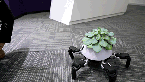 Little Robot Smart Planter