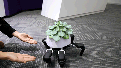 Little Robot Smart Planter