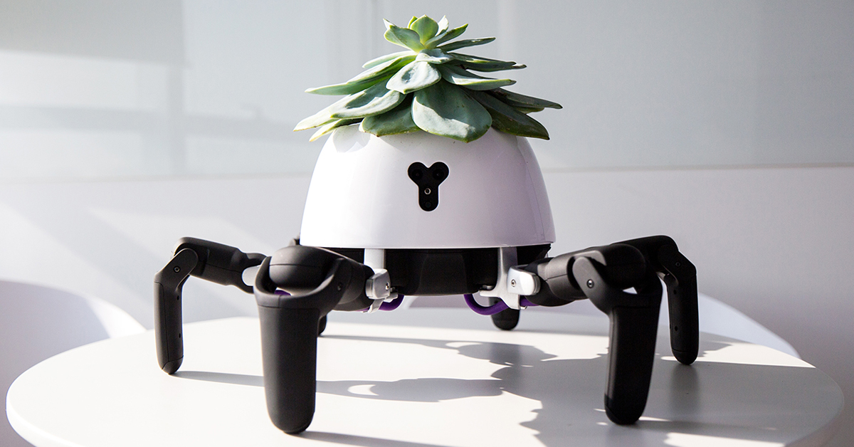 Adorable Smart Planter Chases the Sun Take Care of a Succulent