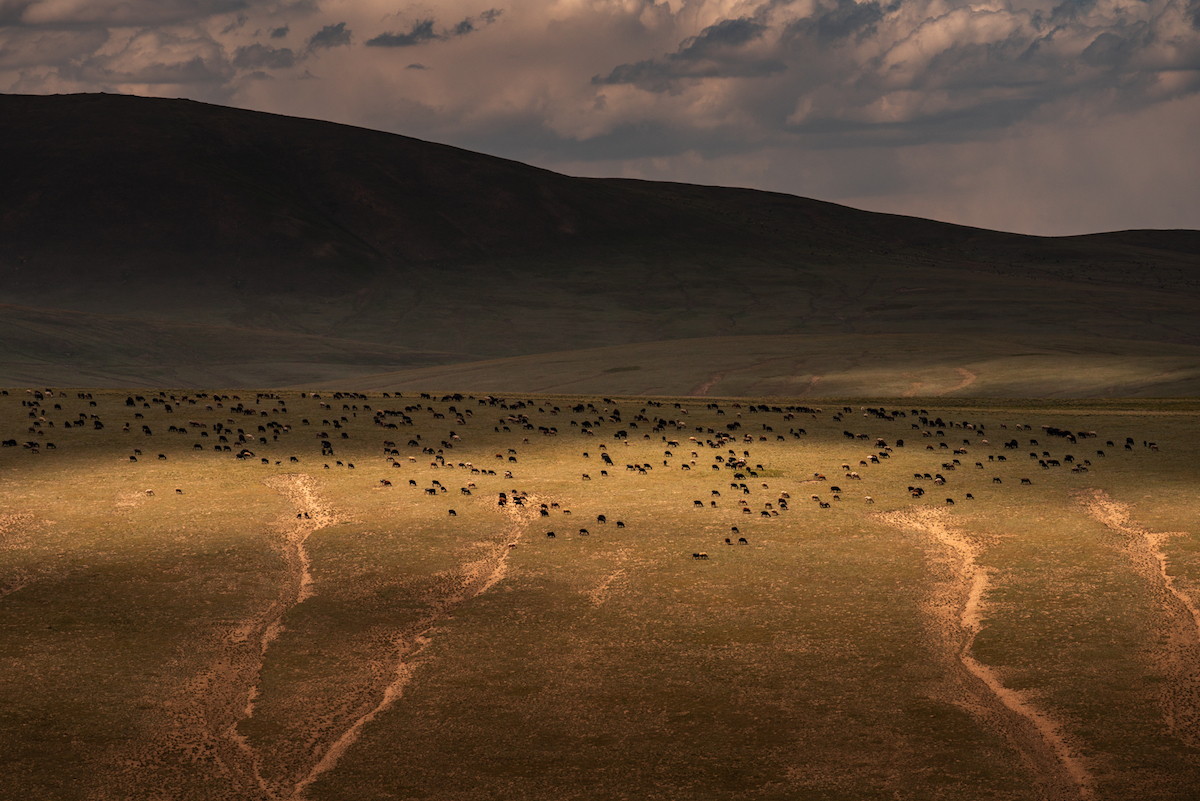 Photo of Kyrgyzstan by Albert Dros