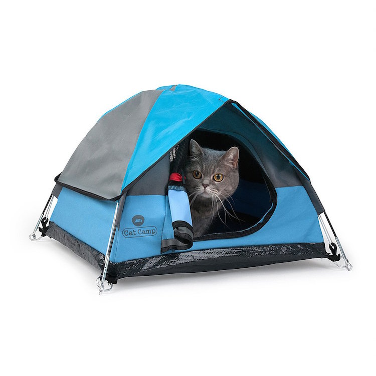 Cat Tent by Cat Camp