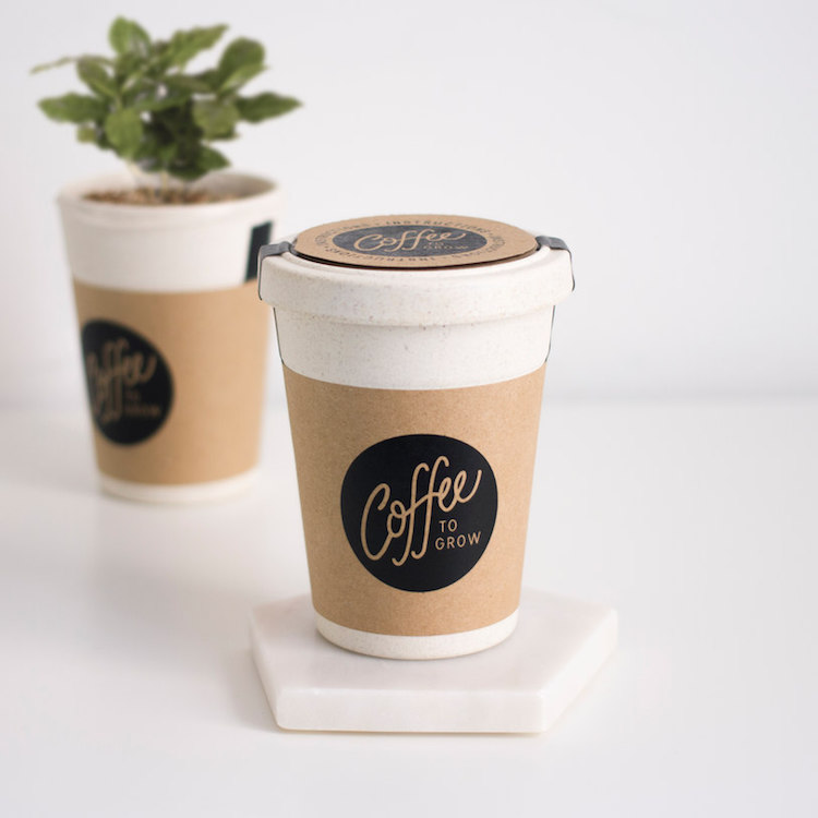 Eco-Friendly Products Grow Your Own Coffee