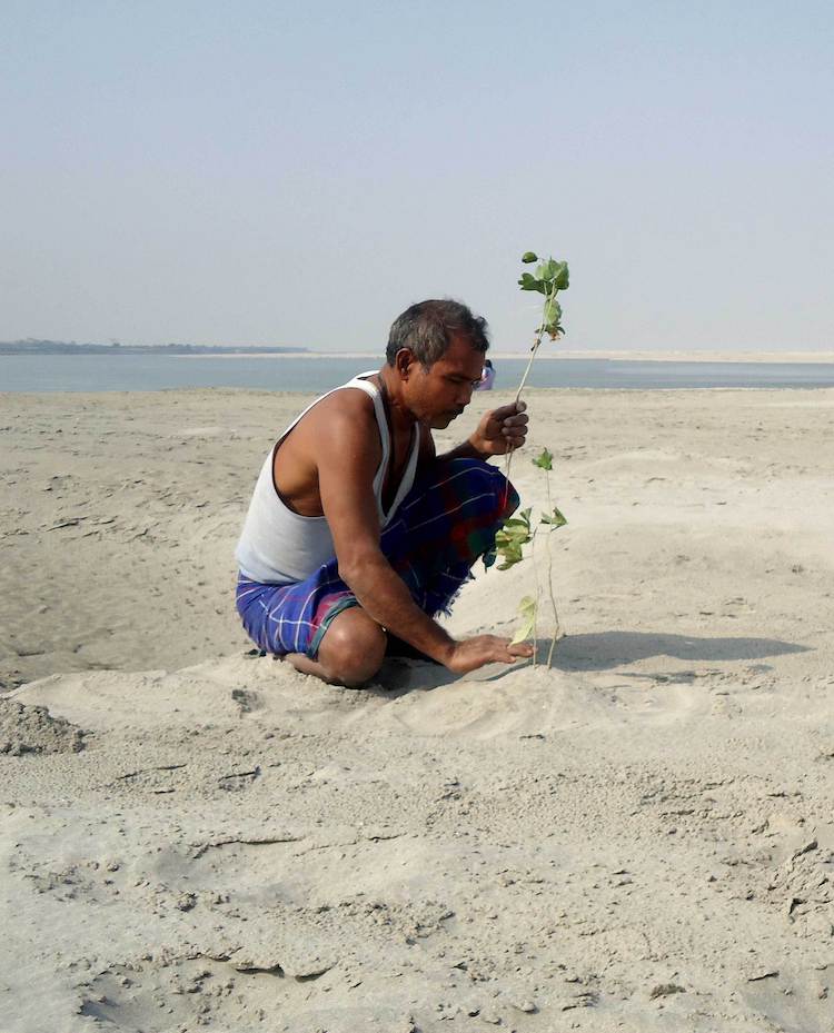 Forest Man of India Jadav Payeng Majuli Island Forest