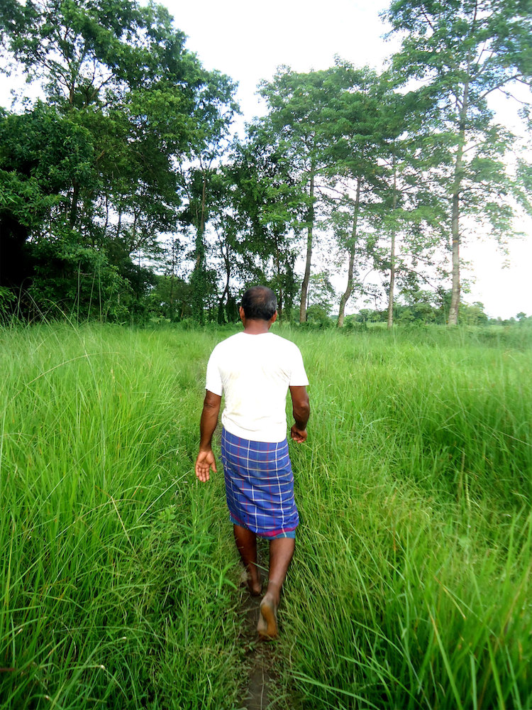 Hombre Bosque de India Jadav Payeng Bosque Molai