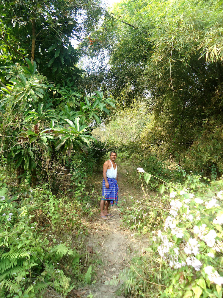 Forest Man of India Jadav Payeng Majuli Island Forest