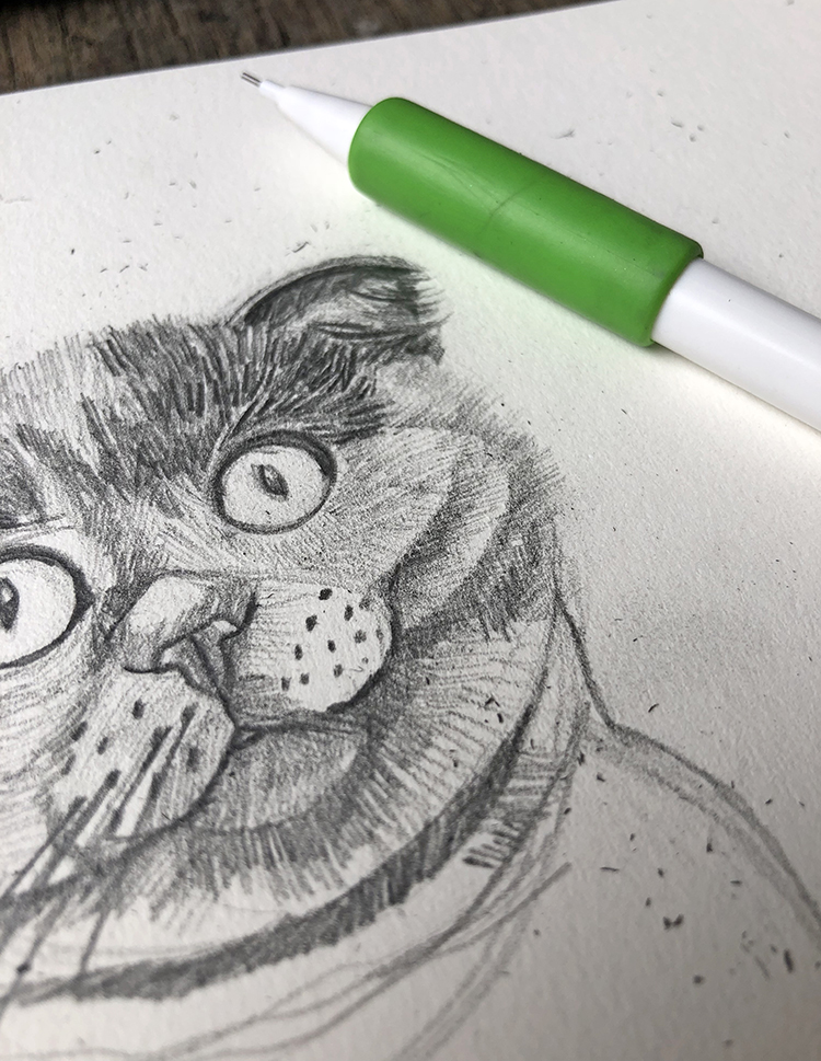 Dibujos de gatos fáciles