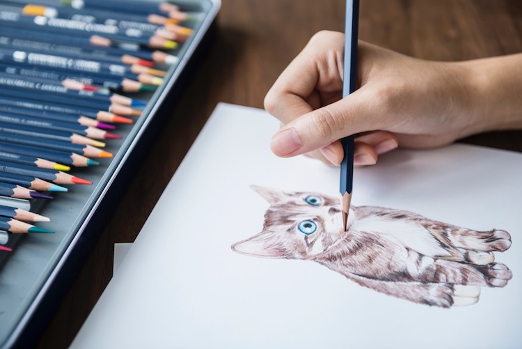 Comment dessiner un chat