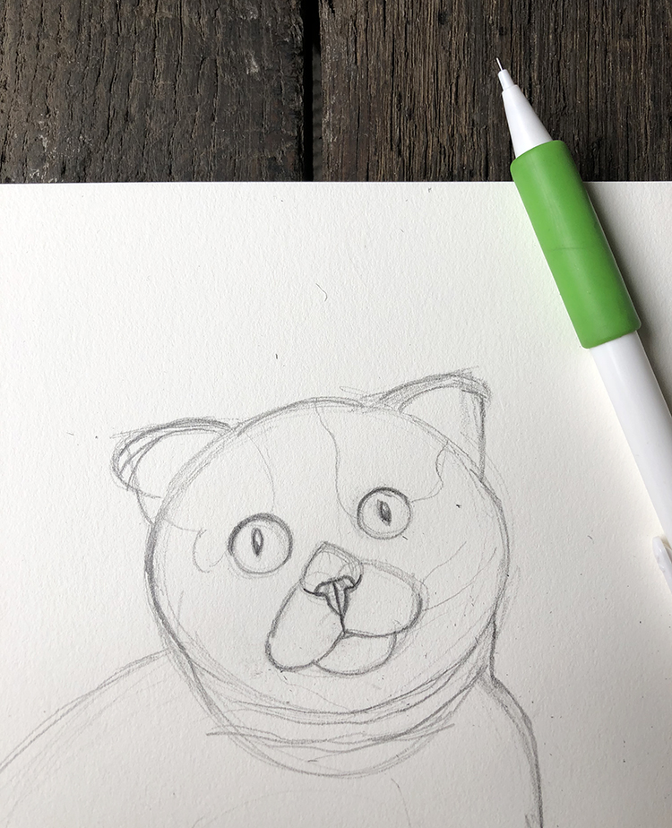 How to Draw a Cat Easy