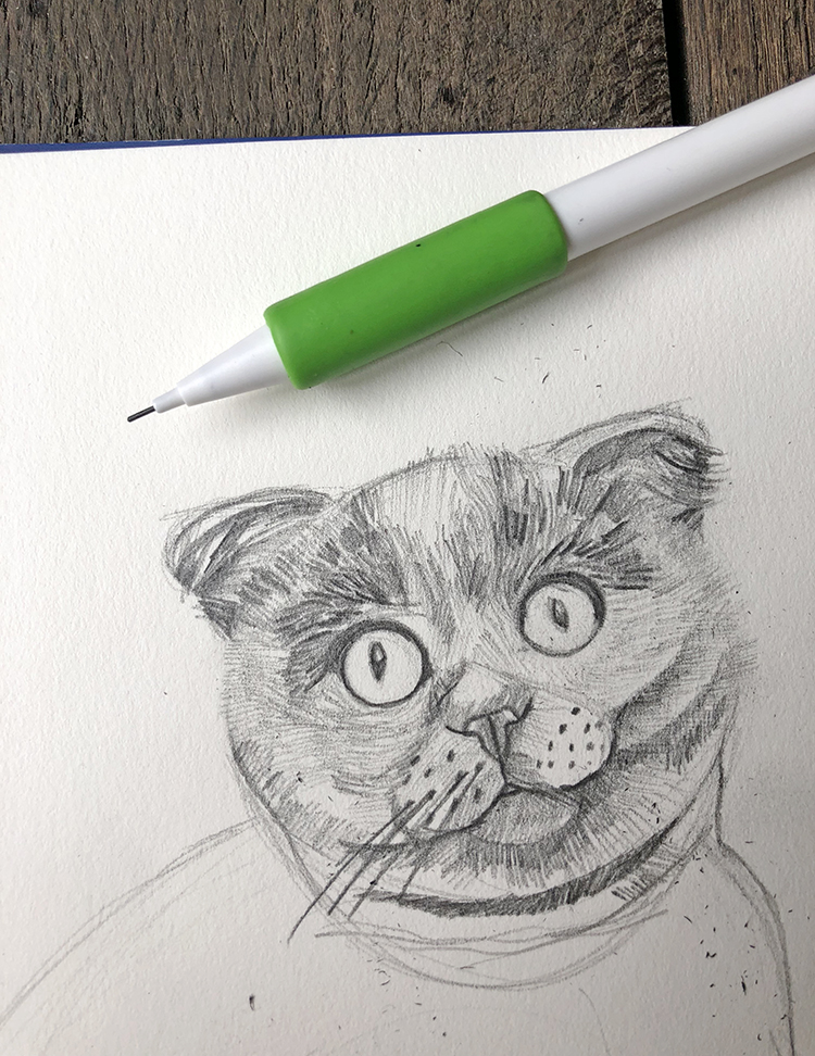 Dibujo de gato