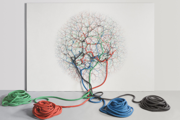 Artist Continues to Explore Organic Sculpture in Series of Rope Art