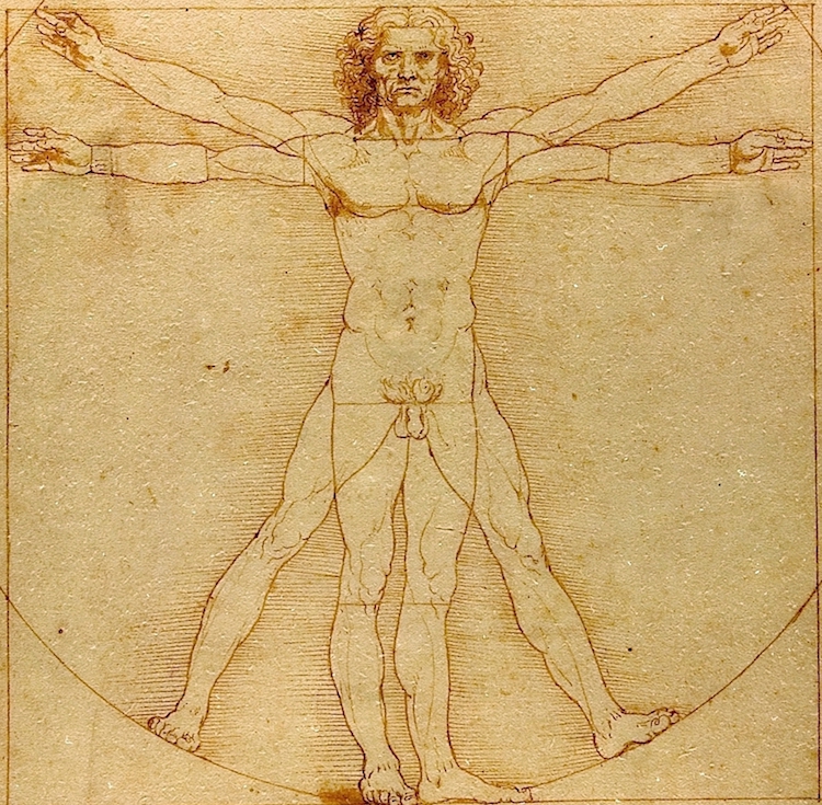 The Vitruvian Man by Leonardo da Vinci