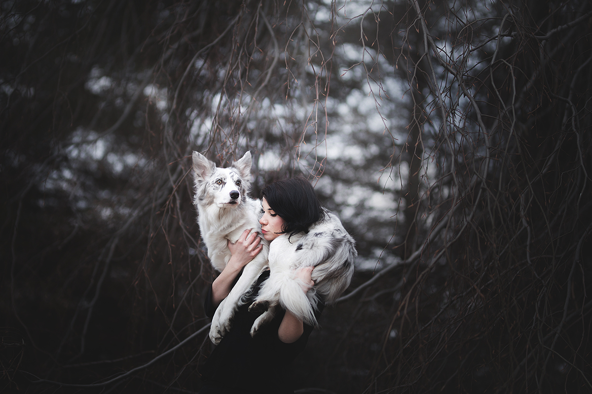 Dog Portraits by Alicja Myslowska