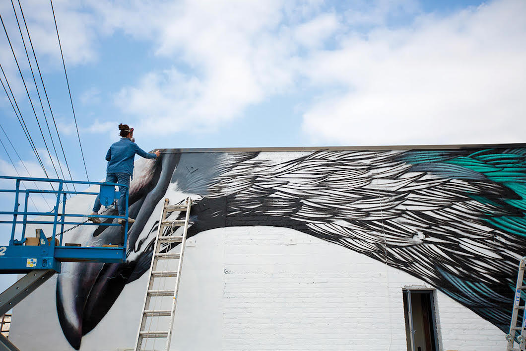 Adele Renault Pigeon Painting Pigeon Portraits Pigeon Feathers