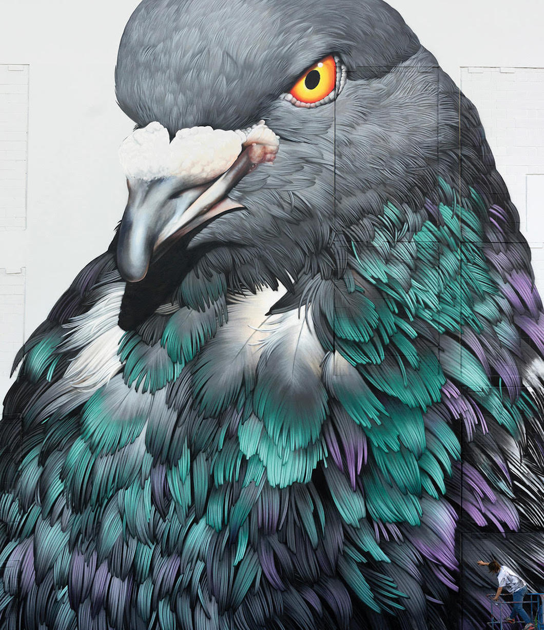 Adele Renault Pigeon Painting Pigeon Portraits Pigeon Feathers