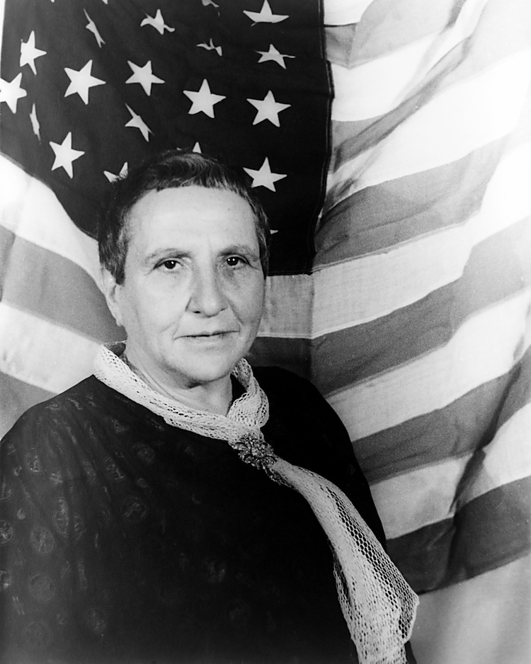 Famous Portraits in Art History Portrait of Gertrude Stein