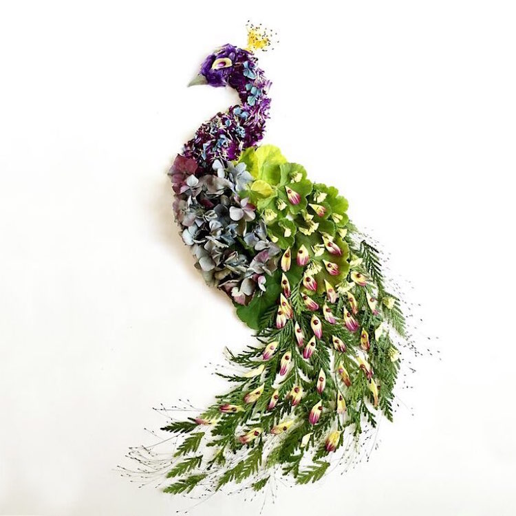 Floral Arrangements Illustrations by Bridget Beth Collins 