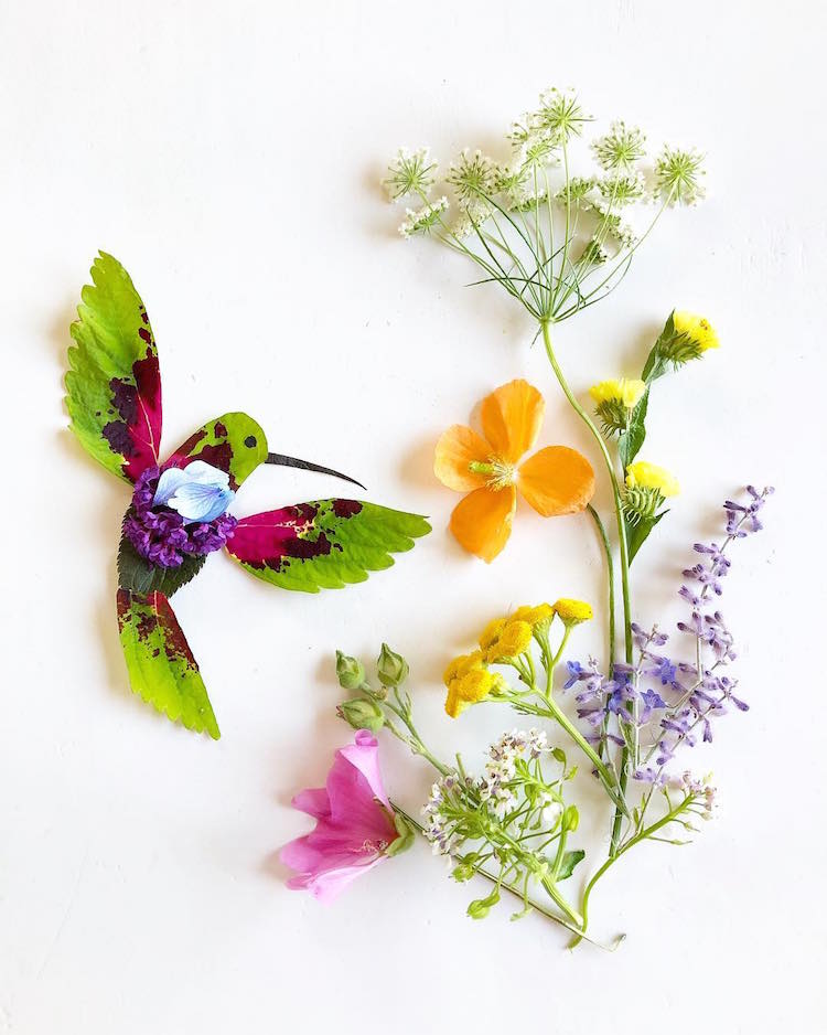 Floral Arrangements Illustrations by Bridget Beth Collins 