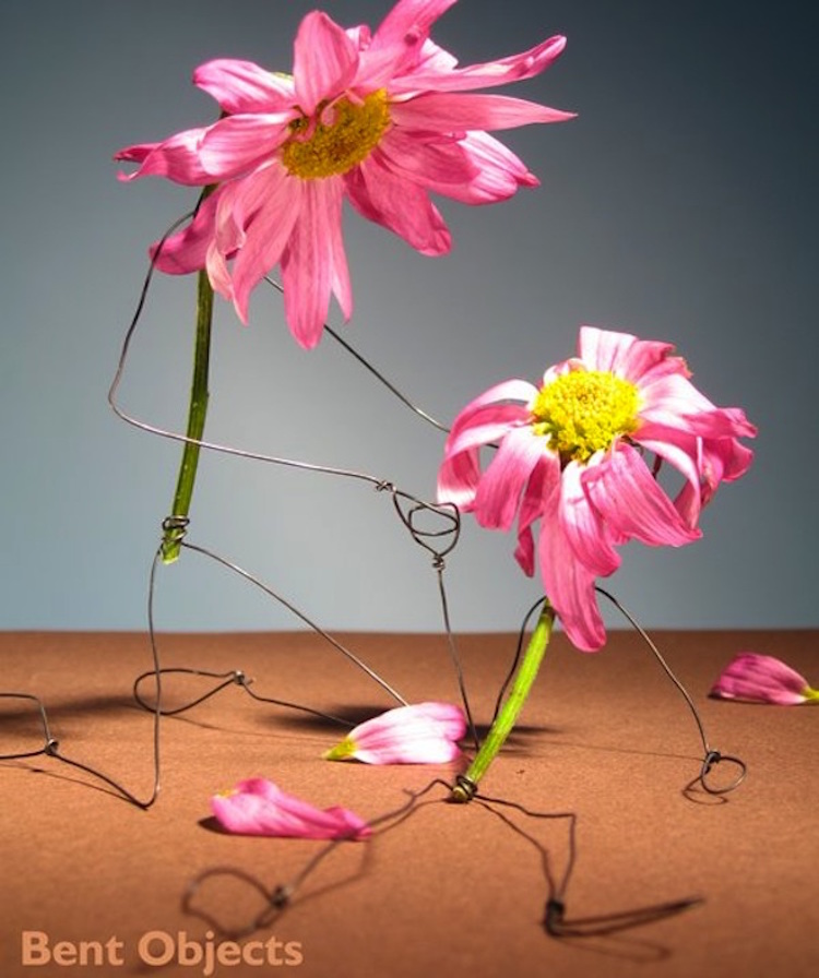 Funny Wire Sculptures Interview Terry Border