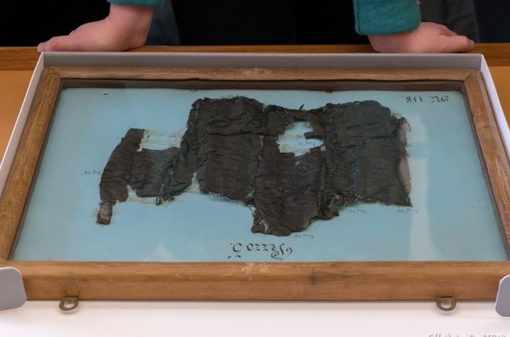 Herculaneum Papyri Fragments