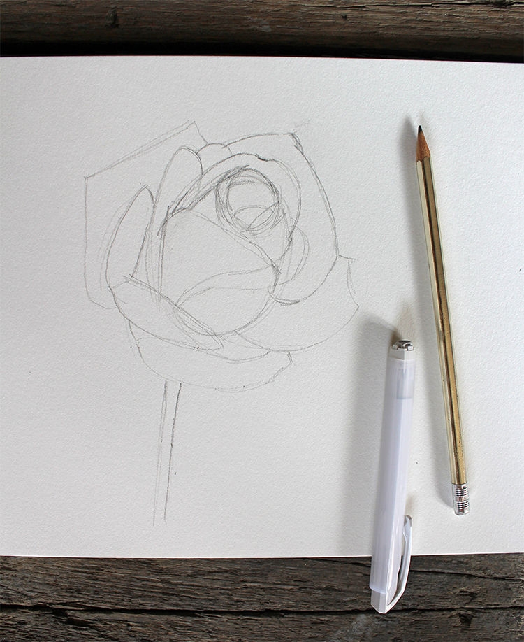 tutorial para dibujar una rosa