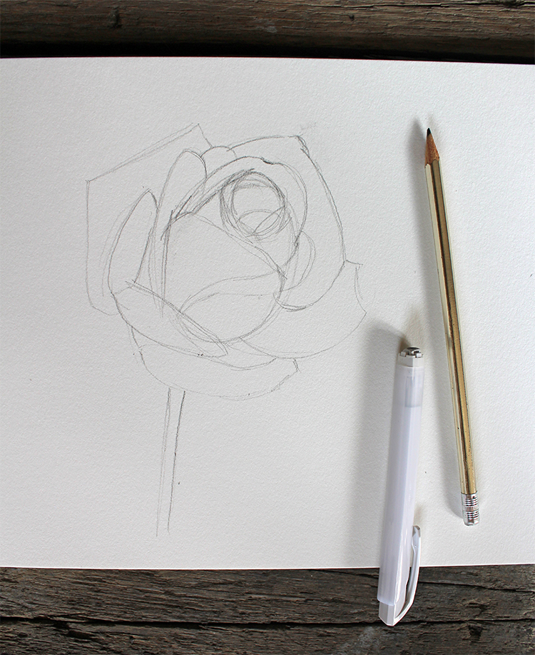 como dibujar una rosa realista a lapiz