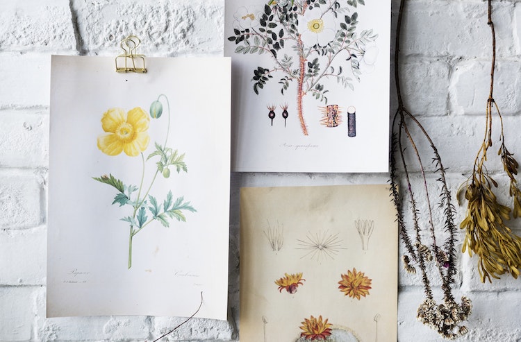 ideas faciles para dibujar flores