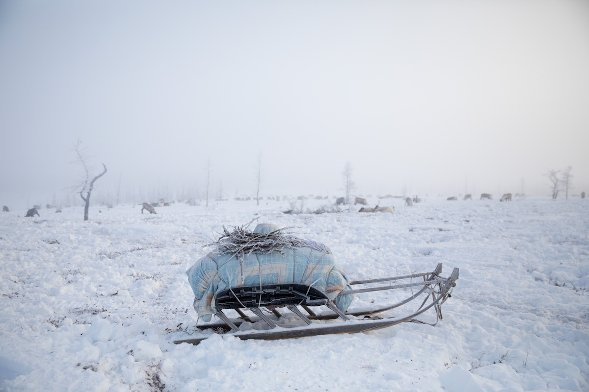 Photo of Siberia by Oded Wagenstein