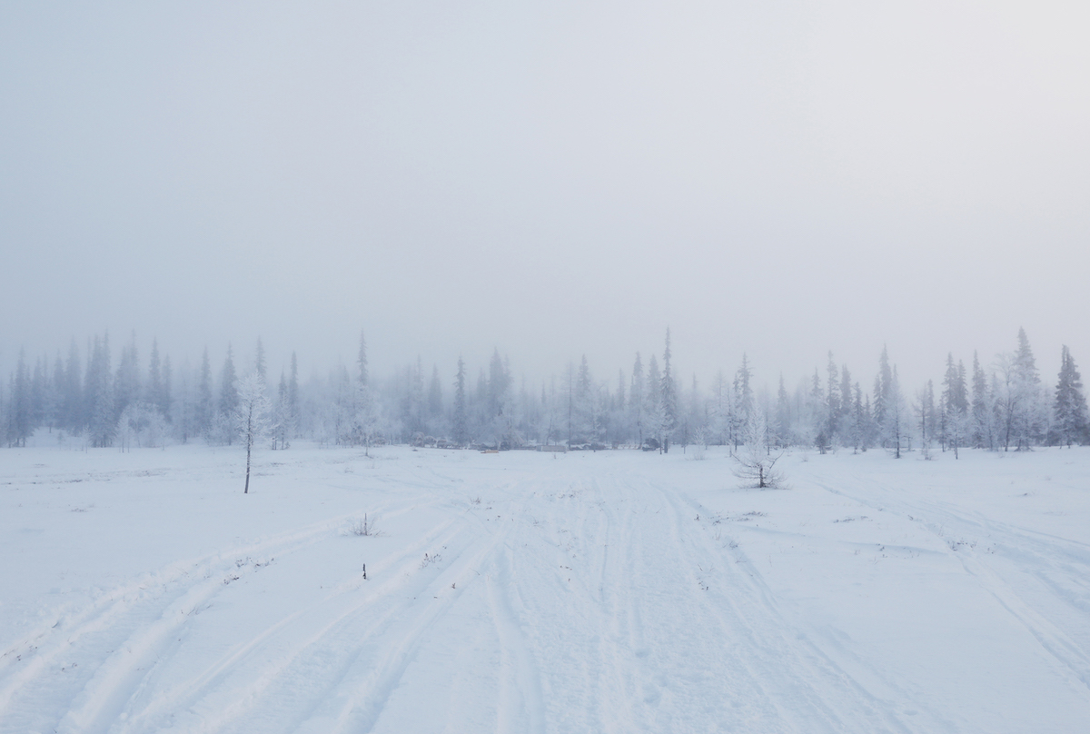 Photo of Siberia by Oded Wagenstein