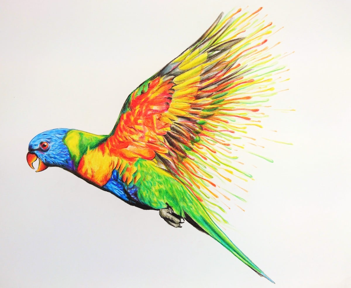 Artistic Colored Pencil Drawings