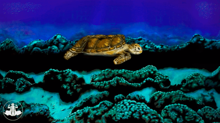 Bodypainting Sea Turtle by Johannes Stötter