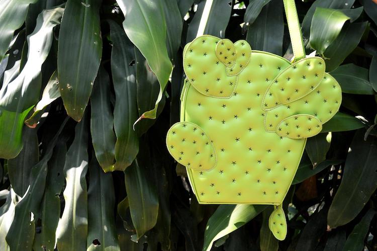 bolsa de cactus