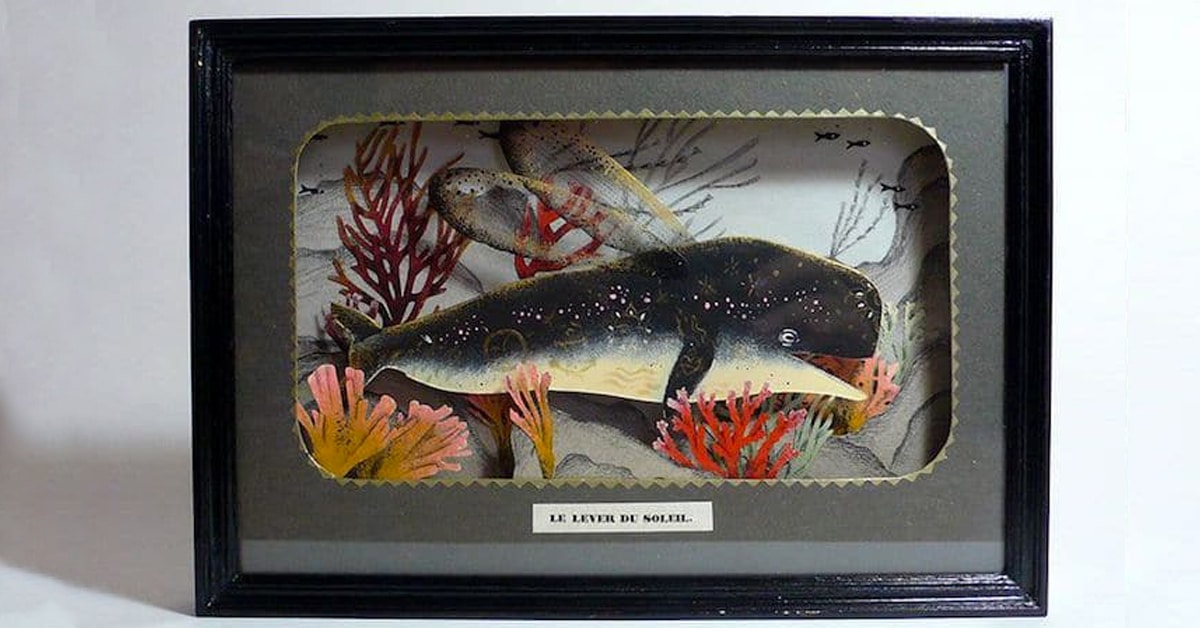 Delightful Diorama Art Offers a Peek into the Lives of Sea Creatures