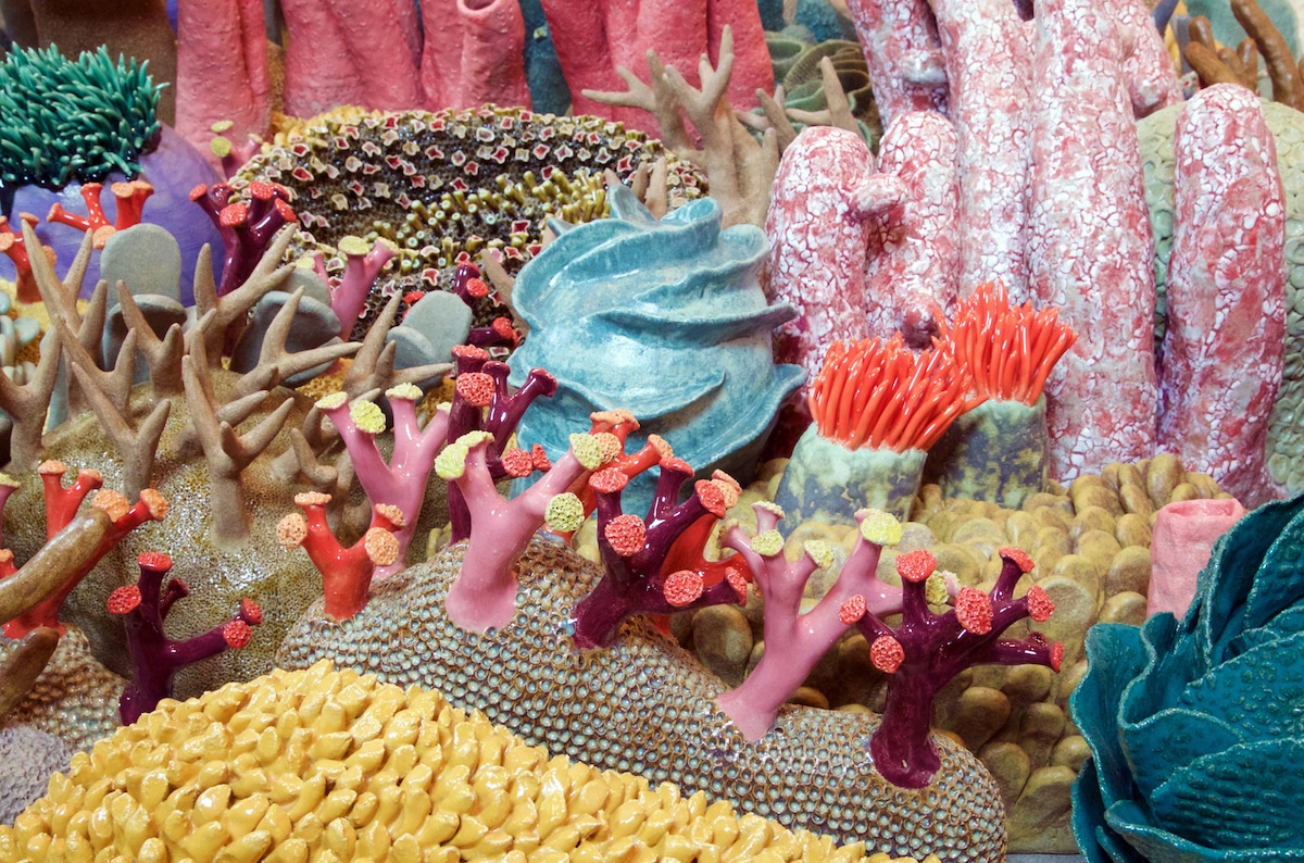 Courtney Mattison Ceramic Coral Reef Coral Reef Conservation Art in Embassies