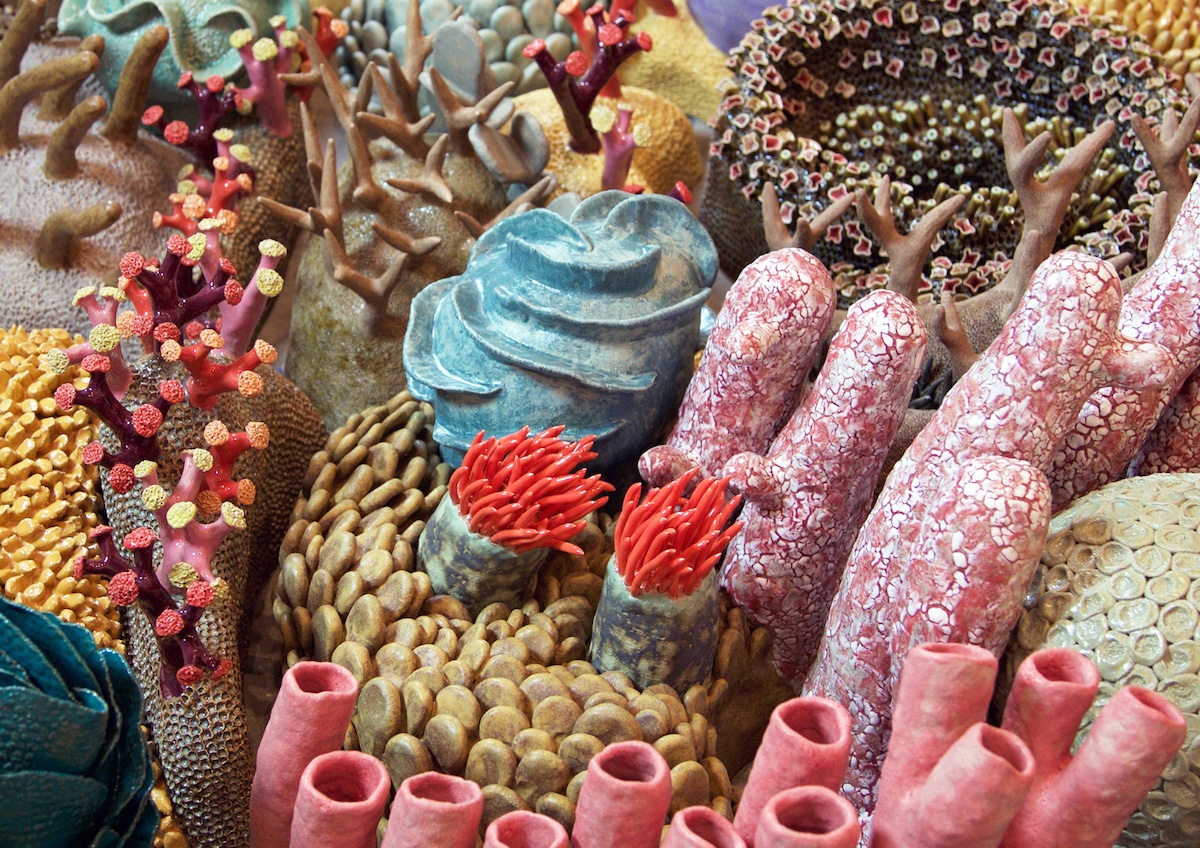 Courtney Mattison Ceramic Coral Reef Coral Reef Conservation Art in Embassies