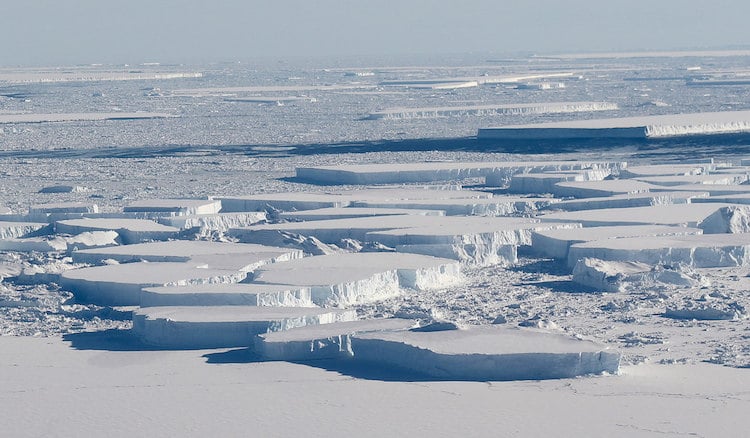 Large tabular icebergs located between Antarctica's Larsen C ice shelf
