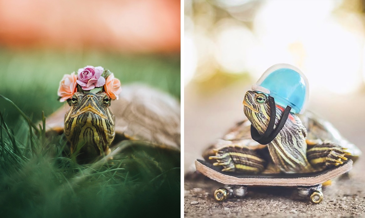 Funny Archives My Modern Met