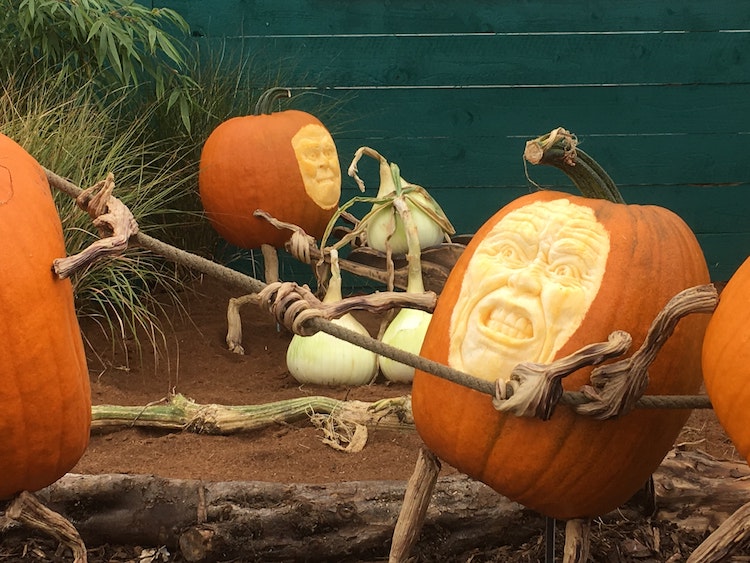 creative pumpkin carving ideas